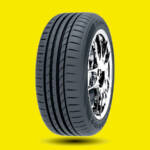Black Arrow 215-55 R17 DART P15
