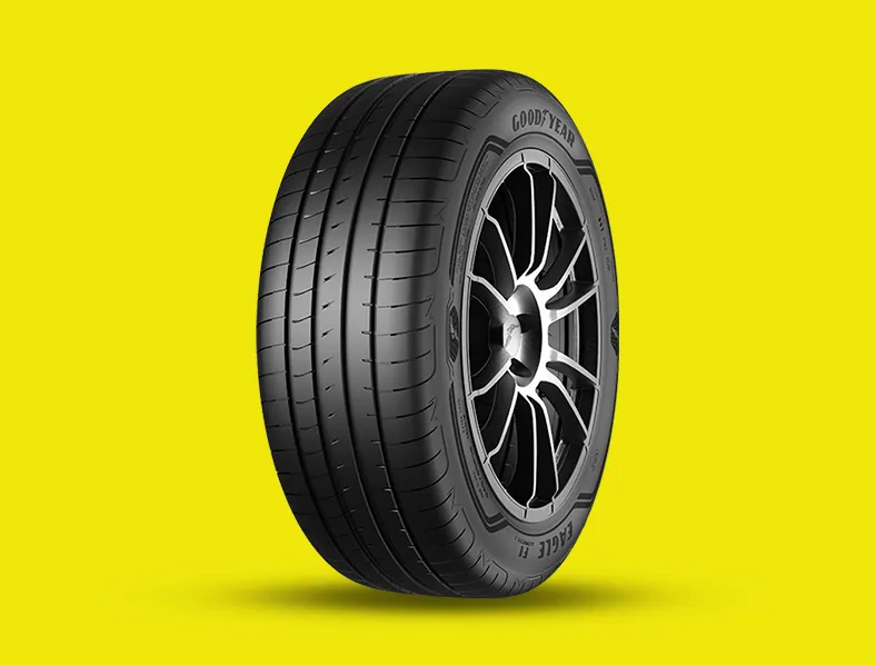 GoodYear 255-40-R21 Eagle F1